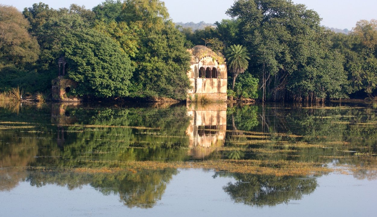 Rajasthan Tiger Safari Tour